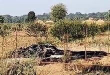 भयंकर! 8 वर्षाच्या मुलीवर निर्घृण अत्याचार करून जाळलं; आरोपीही अल्पवयीन