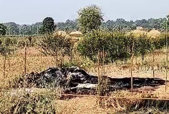 Bhandara Crime News : भयंकर! 8 वर्षाच्या मुलीवर निर्घृण अत्याचार करून जाळलं; आरोपीही अल्पवयीन