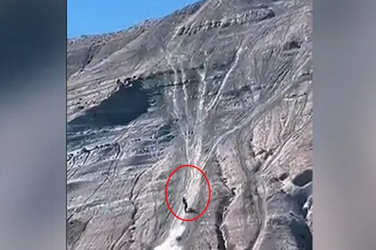 VIDEO : बाईकस्वाराचा श्वास रोखायला लावणारा स्टंट; क्षणात बाईक पोहोचवली डोंगरावर