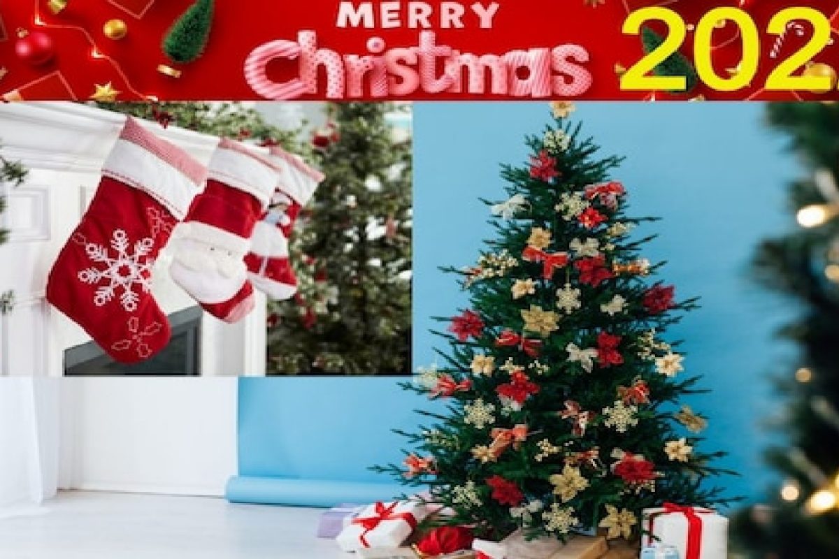 Christmas 2022 : फक्त 25 तारखेलाच नाही तर आठवडाभर करतात ख्रिसमस सेलिब्रेशन!