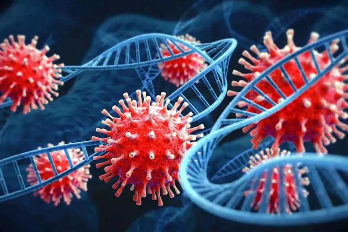 ICMR करतंय रिसर्च