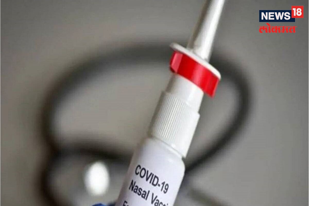 नाकावाटे देण्यात येणाऱ्या लसीची किंमत ठरली