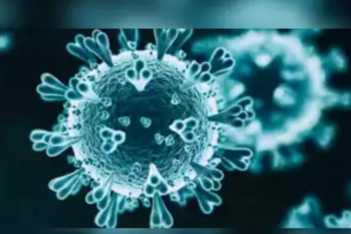 राज्यात पुन्हा एकदा कोरोनाच्या रुग्णांमध्ये वाढ होताना दिसत आहे.