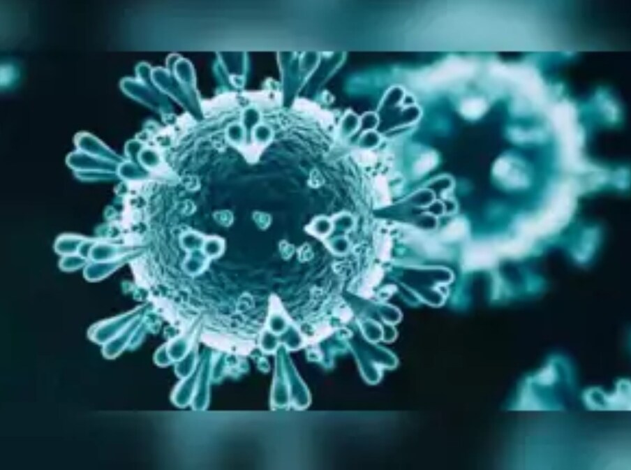 दरम्यान राज्यात H3N2 बळींची संख्या तीनवर पोहोचली आहे. आधी अहमदरनगर, नंतर नागपूर आणि पुण्याच्या पिंपरी-चिंचवडमध्ये एका रुग्णाचा मृत्यू झाला आहे. (प्रतीकात्मक फोटो/सौजन्य-Canva)