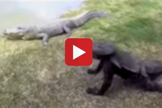 Viral Video