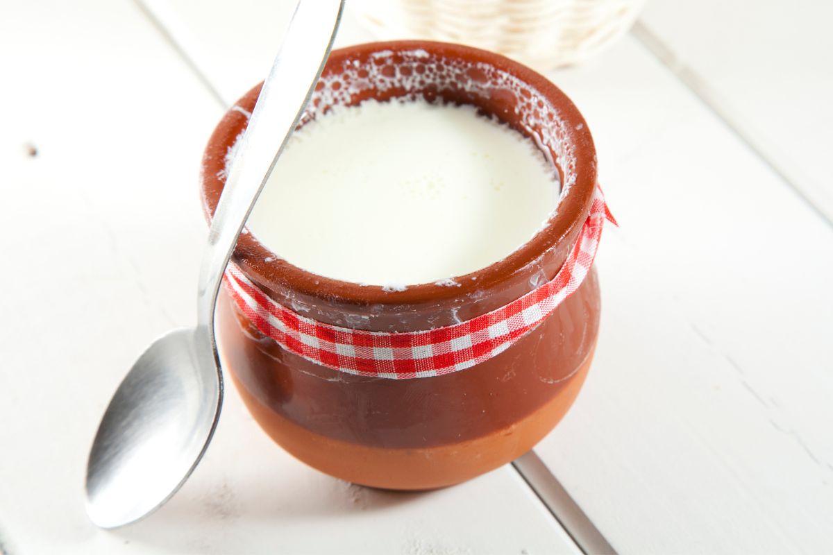 ...म्हणून हिवाळ्यात दही खायचं ते मातीच्या भांड्यातीलच; फायदे वाचून थक्क व्हाल