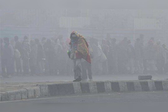 Dhule Cold Temperature : राज्यात थंडीचा कडाका वाढला, धुळे धुक्यात बुडाले, तुमच्या शहराचं काय तापमान?