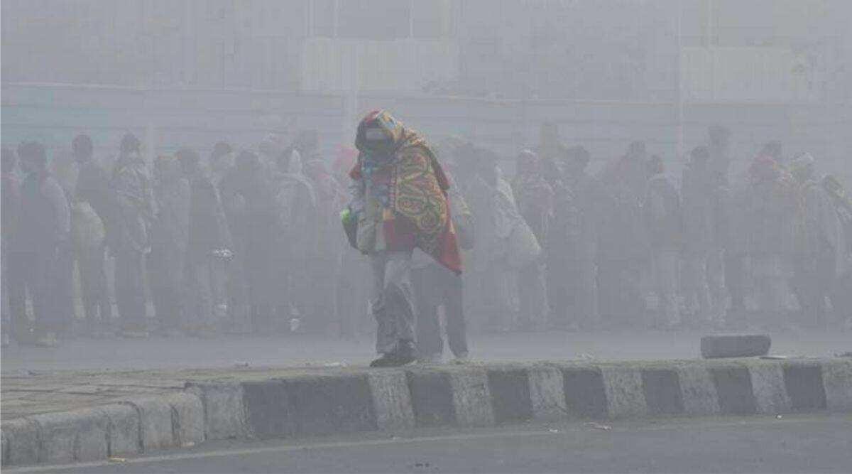 Dhule Cold Temperature : राज्यात थंडीचा कडाका वाढला, धुळे धुक्यात बुडाले, तुमच्या शहराचं काय तापमान?