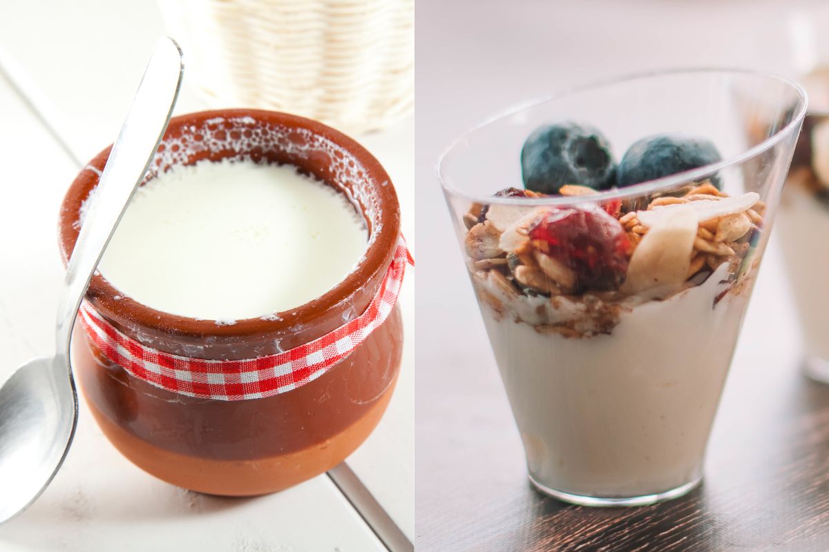 Yoghurt Or Curd : योगर्ट आणि दह्यामध्ये नेमका फरक काय? कोणते अधिक फायदेशीर