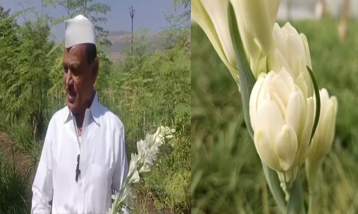 Farmer Success Story : शेती मातीशी नाळ असलेल्या तरूणाची उंच भरारी, महिन्याला कमवतो तब्बल एक लाख
