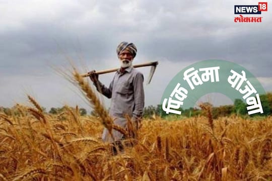 पिक विमा योजना