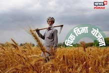 Crop Insurance : पिकांचं नुकसान झाल्यास सरकार करणार भरपाई, फक्त करा हे एक काम Crop Insurance : पिकांचं नुकसान झाल्यास सरकार करणार भरपाई, फक्त करा हे एक काम