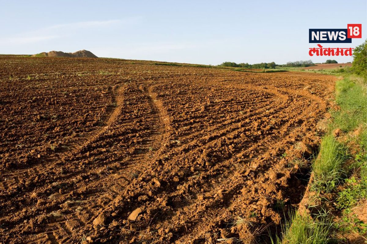 गायरान जमीन अतिक्रमणाबाबत मुंबई हायकोर्टाचा मोठा निर्णय!