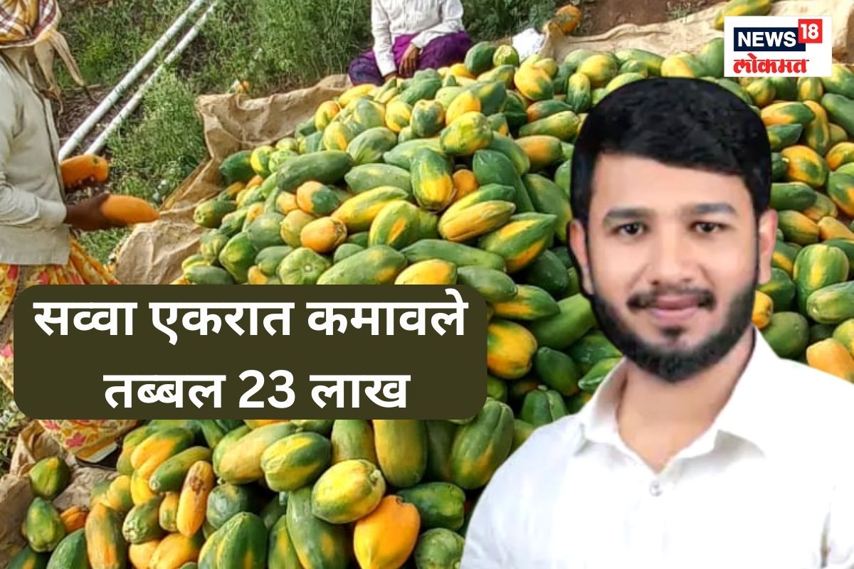 वय फक्त 25 अन् गड्यानं केली कमाल, सव्वा एकरातून कमावले तब्बल 23 लाख