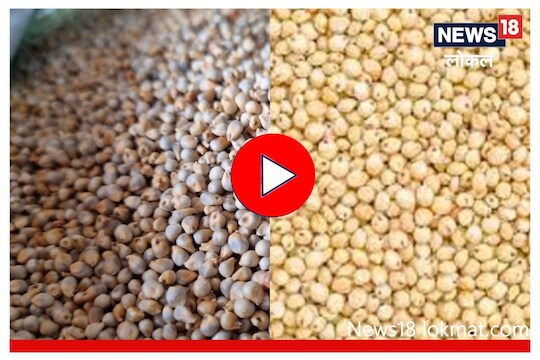 Aurangabad : ‘या’ कारणामुळं हिवाळ्यात वाढले बाजरी आणि ज्वारीचे भाव, पाहा video