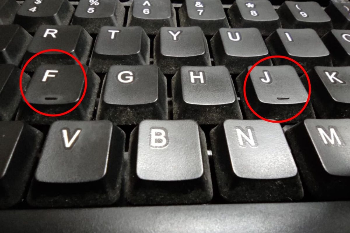 प्रतिकात्मक फोटो