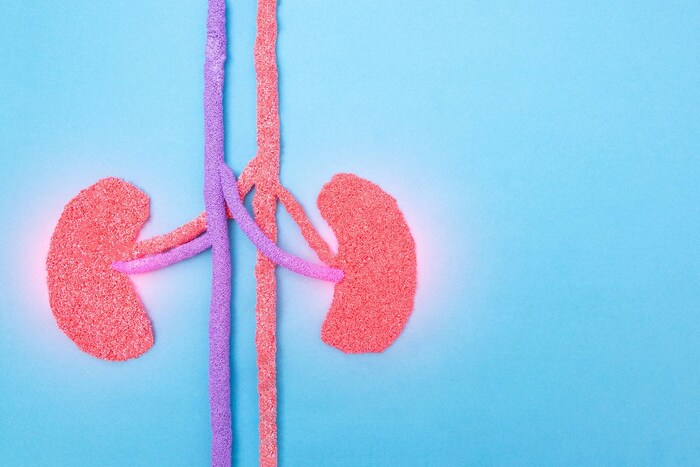 मानवी अवयव आणि ऊतींचे प्रत्यारोपण कायद्यानुसार, दाता आणि प्राप्तकर्ता यांच्यात सामान्यतः रक्ताचे नाते असते. जसे पालक, भावंड, मुले, आजी-आजोबा आणि नातवंडे. यामध्ये पत्नीचाही समावेश असून तीही पतीला अवयवदान करू शकते.