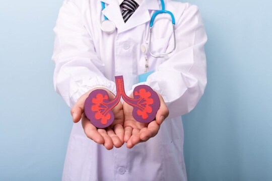 kidney