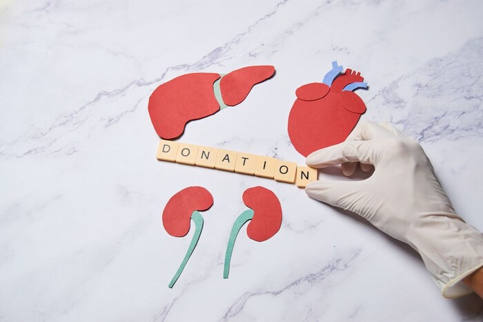 ऑस्ट्रेलियास्थित किडनी हेल्थ ऑर्गनायझेशननुसार, 750 पैकी एक व्यक्ती फक्त एक किडनी घेऊन जन्माला येते. याशिवाय अनेक वेळा आजार किंवा इतर कारणांमुळे किडनी काढली जाते.