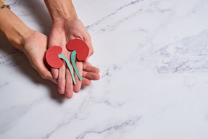 दुसरीकडे मृत व्यक्तीची किडनी दुसर्‍या रुग्णाच्या शरीरात प्रत्यारोपण केल्याने अनेकवेळा तितका चांगला परिणाम मिळत नाही. परंतु, जिवंत व्यक्तीच्या किडनीने रुग्णाचे आयुष्य सामान्य होते.