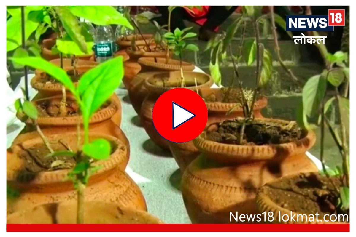 Kolhapur : अंबाबाई मंदिर करणार पर्यावरणाचा जागर, भाविकांना मिळणार वृक्षप्रसाद, Video