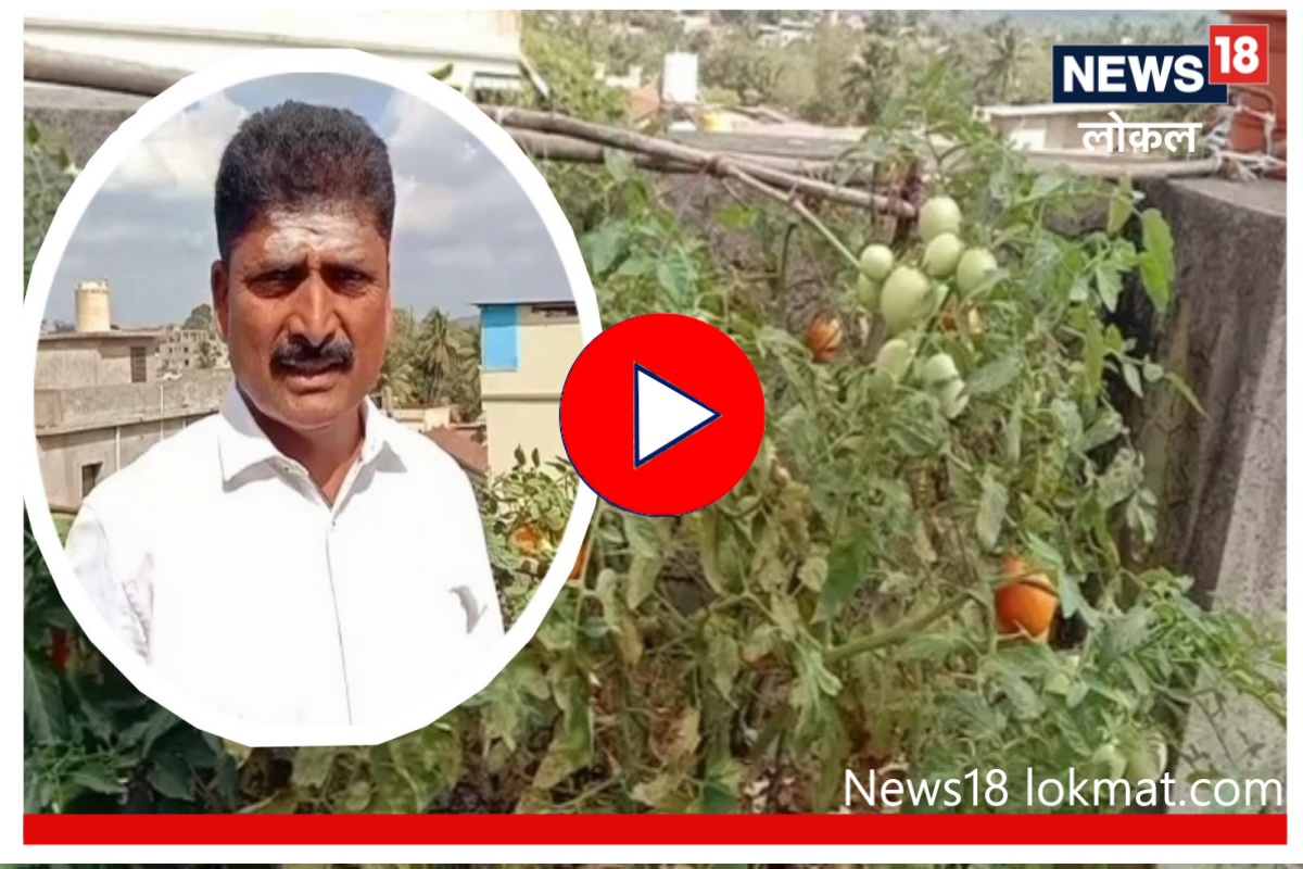 लय भारी डोकं! शेतामध्ये चोरी होत होती म्हणून टेरेसवरच लावली भाजी, पाहा Video