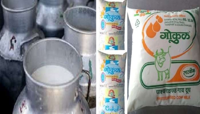 Kolhapur Gokul Milk Rate : गोकुळचे दूध पुन्हा महागले, गायीच्या दुधात 3 रुपयांची वाढ