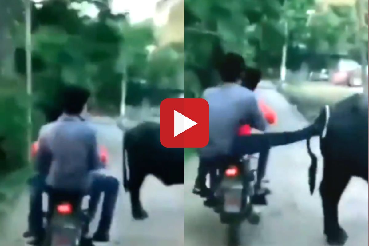 याला म्हणातात कर्माचं फळ