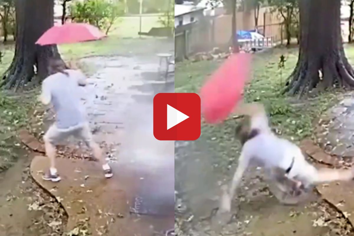 व्हायरल व्हिडीओ