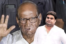 'गॉडमदर'च्या मुलाचा 'पॉवर' गेम पवारांना पडला भारी; NCP ने तिकीट नाकारलं तरी... 'गॉडमदर'च्या मुलाचा 'पॉवर' गेम पवारांना पडला भारी; NCP ने तिकीट नाकारलं तरी...
