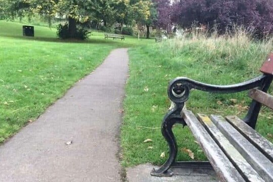 Viral Photo