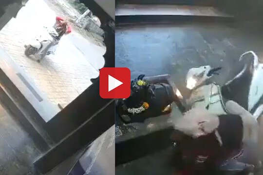 Viral Video