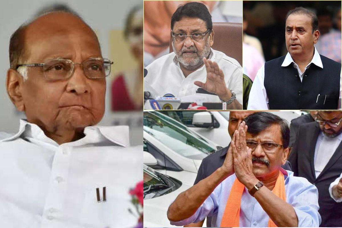 देशमुख, मलिक आणि राऊतांना का अटक केली? शरद पवार स्पष्टच बोलले