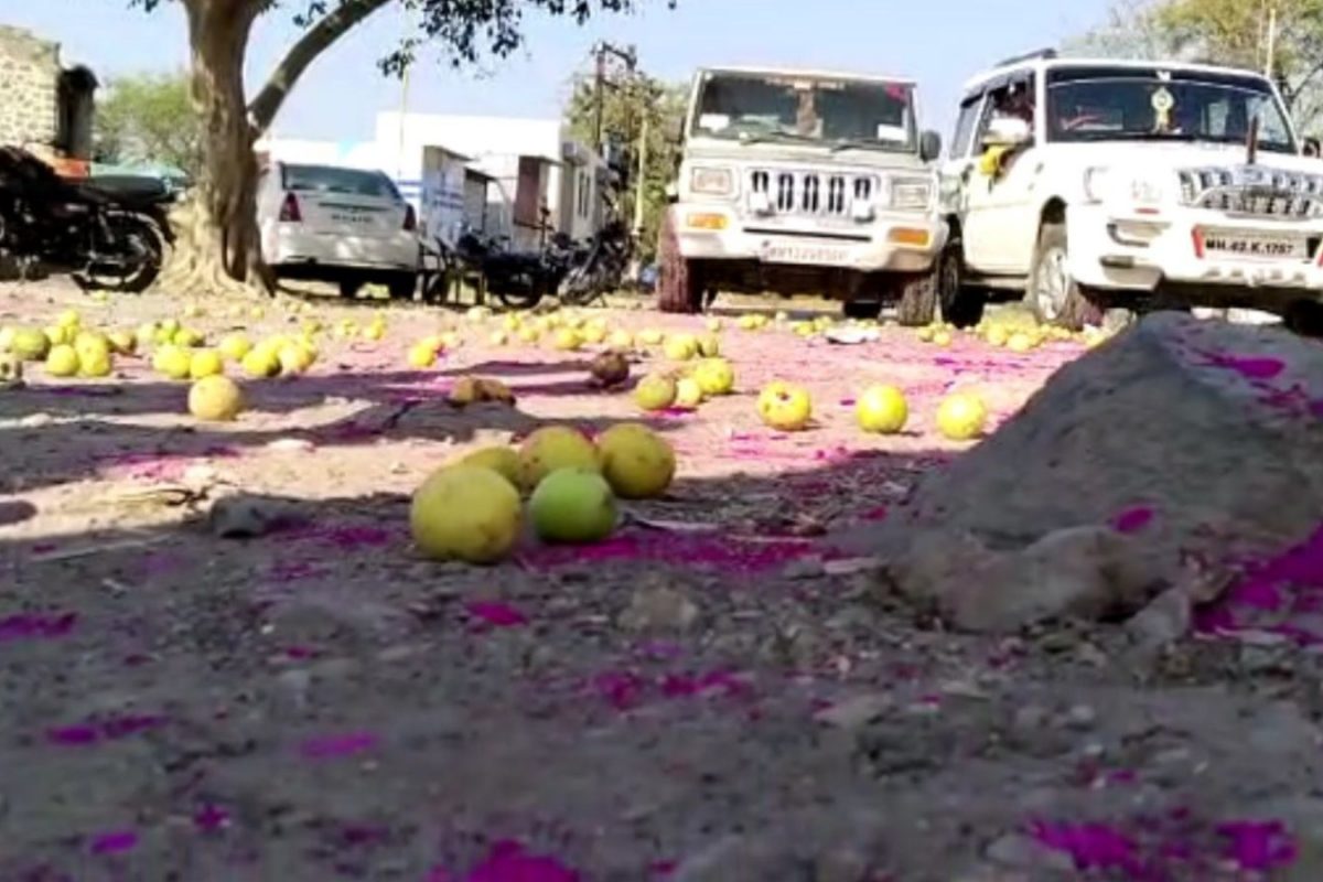 निवडणूक हरण्यासाठी विरोधकांनी लिंबू मंतरलं, जिंकल्यानंतर सरपंचाचा 3 हजार लिंबं चिरडून जल्लोष