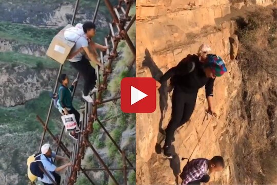 व्हायरल व्हिडीओ