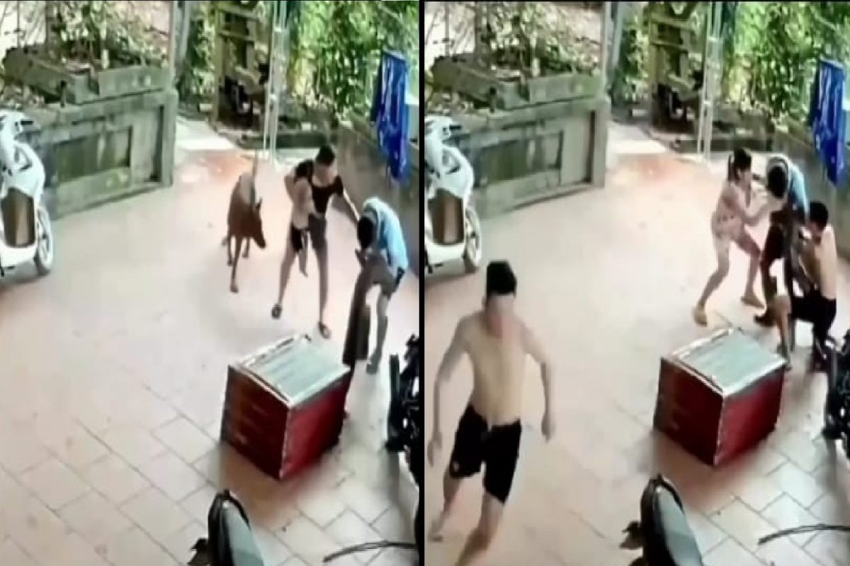 अजगराचा तरुणावर भयंकर हल्ला.