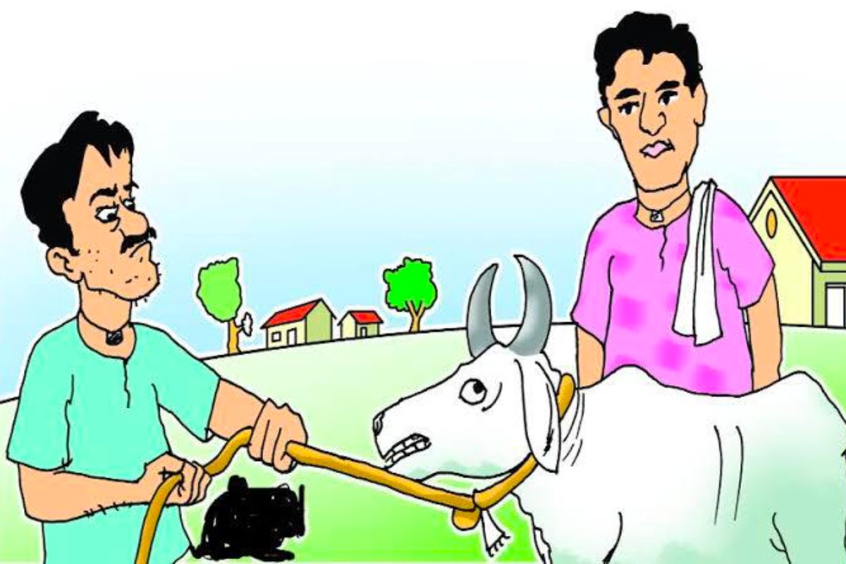 Solapur : पशुसंवर्धन विभागातील योजनांचा घ्या फायदा, लगेच करा अर्ज