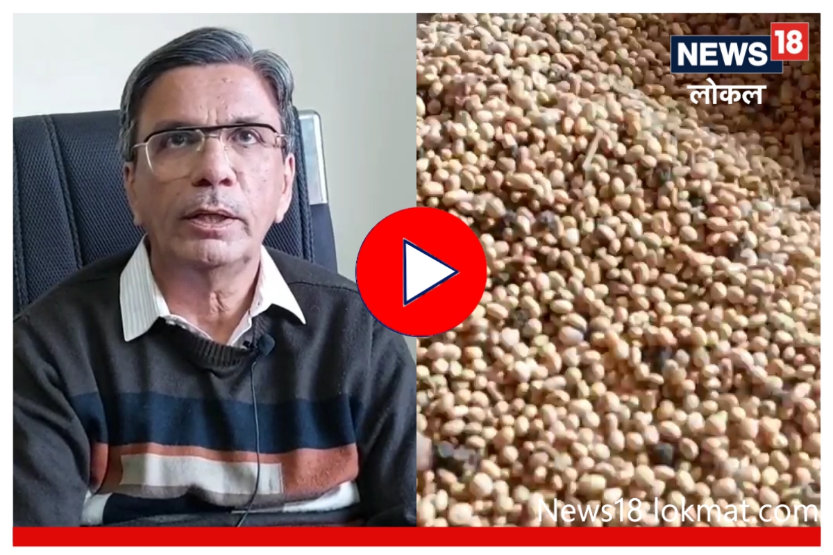 Video : सोयाबीनला 10 हजारांपर्यंत भाव मिळेल का ? पाहा काय म्हणतात व्यापारी