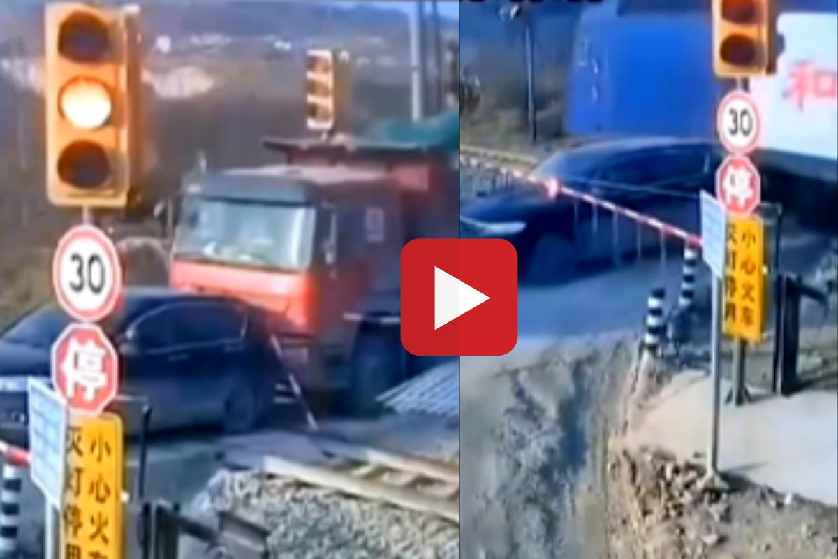 व्हायरल व्हिडीओ