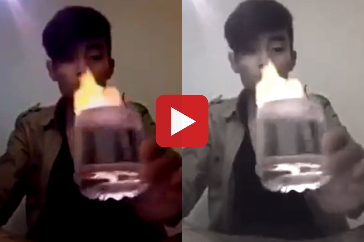 व्हायरल व्हिडीओ