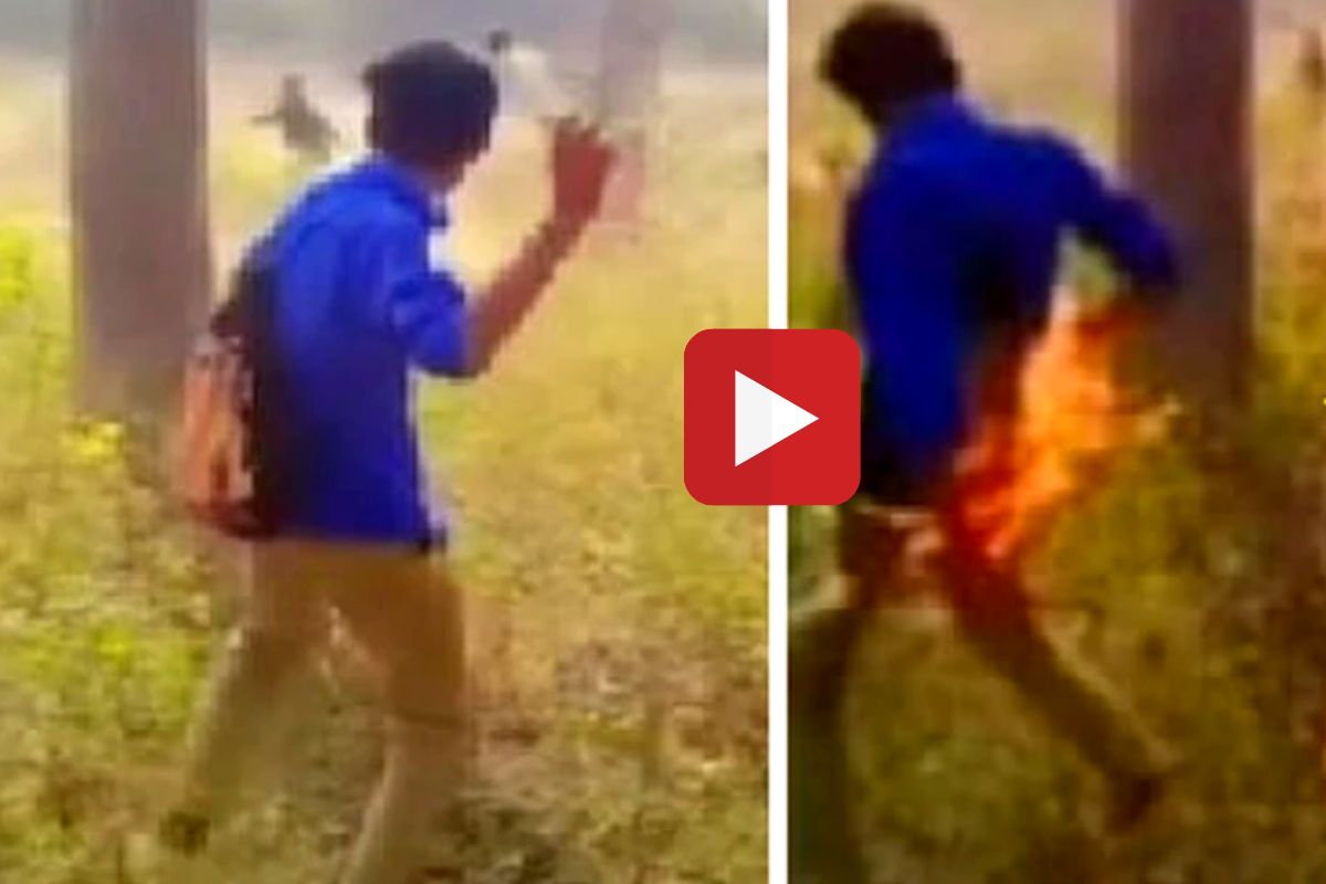 व्हायरल व्हिडीओ