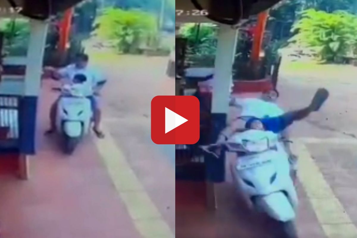 व्हायरल व्हिडीओ