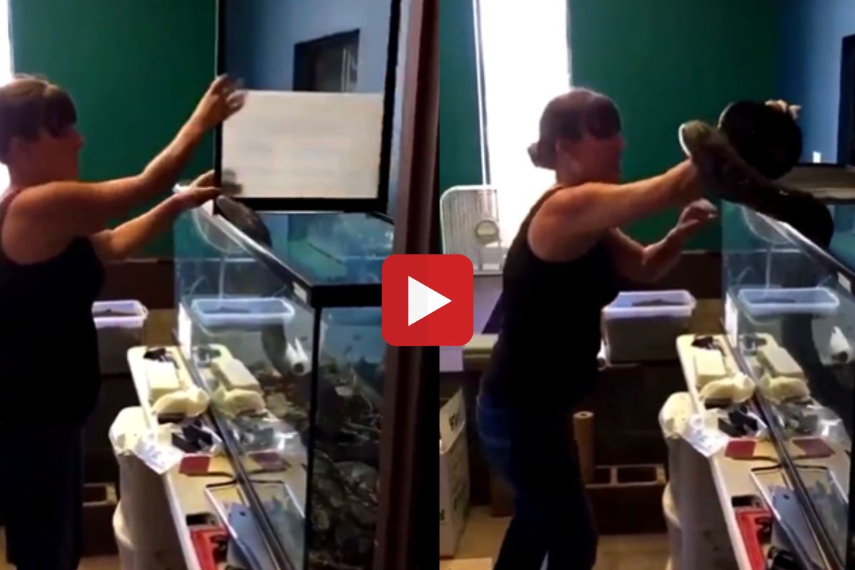 अजगराचा महिलेवर हल्ला