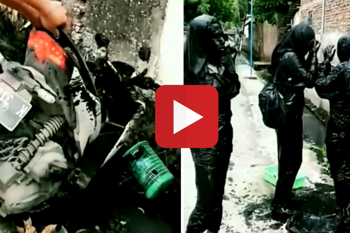 व्हायरल व्हिडीओ