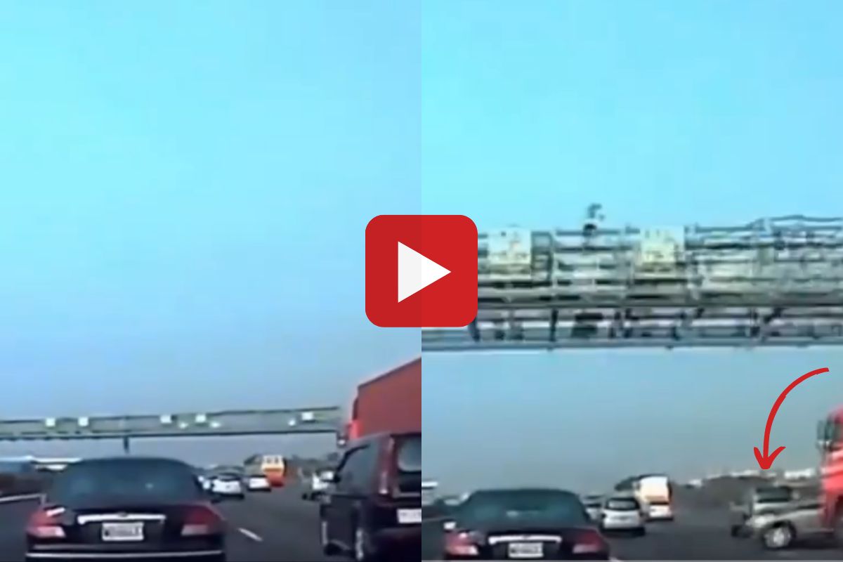 व्हायरल व्हिडीओ