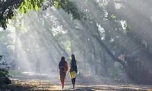 समुद्र किनारा गारठणार, राज्यात पुढच्या 48 तासांत हुडहुडी भरणारी थंडी पडणार समुद्र किनारा गारठणार, राज्यात पुढच्या 48 तासांत हुडहुडी भरणारी थंडी पडणार