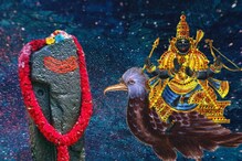 शिंगणापुरात असे प्रकट झाले होते शनिदेव! त्या वाहत आलेल्या शिळेवर दगड मारला अन्..