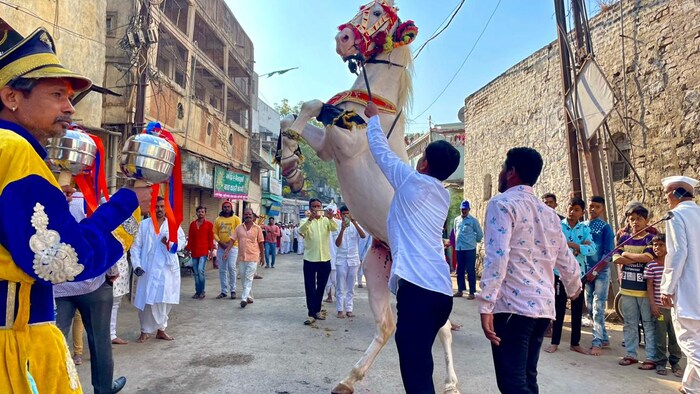 पवन नावाचा घोडा यात्रेत विविध प्रात्याक्षिक दाखवत होता. त्याच्या प्रात्याक्षिकानं सोलापूरकरांचं चांगलंच मनोरंजन केलं. 