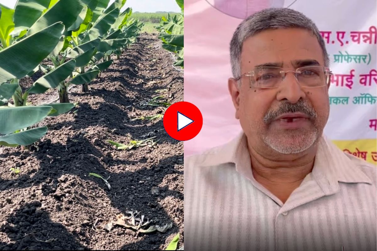 कॅन्सरमुळं जवळची माणसं गमावलेल्या शास्त्रज्ञानं शोधलं सेंद्रीय खत, सर्वांचाच होणार फायदा! Video