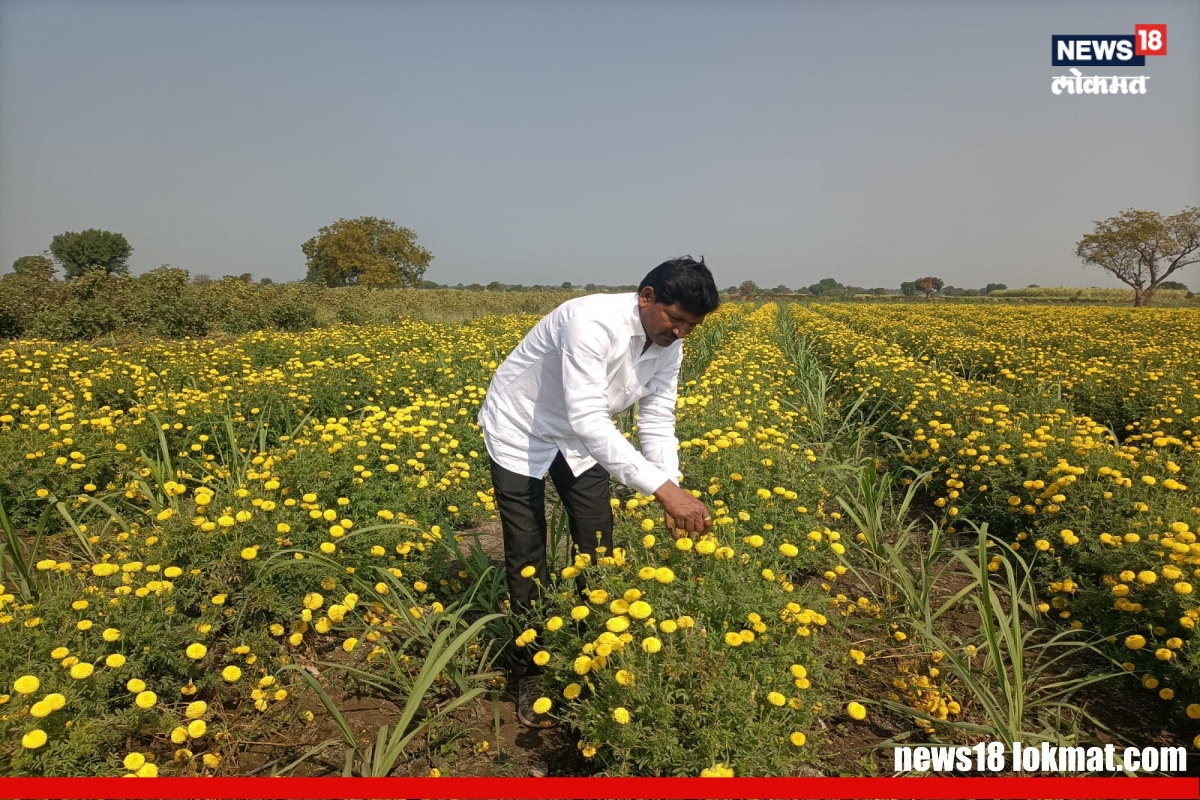 Flower farming beed